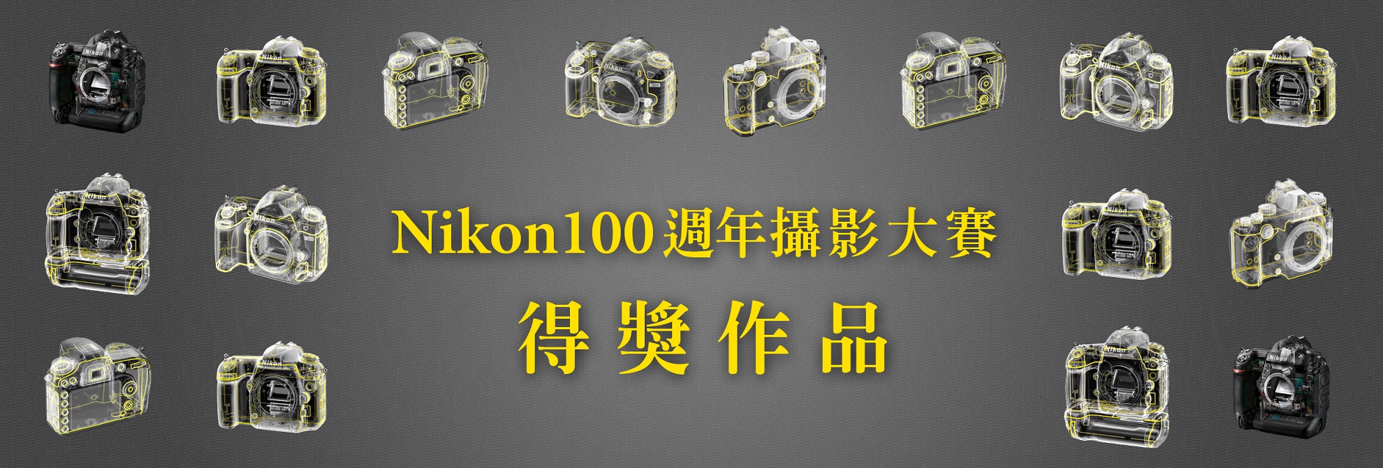 Nikon 100週年攝影大賽 得獎作品