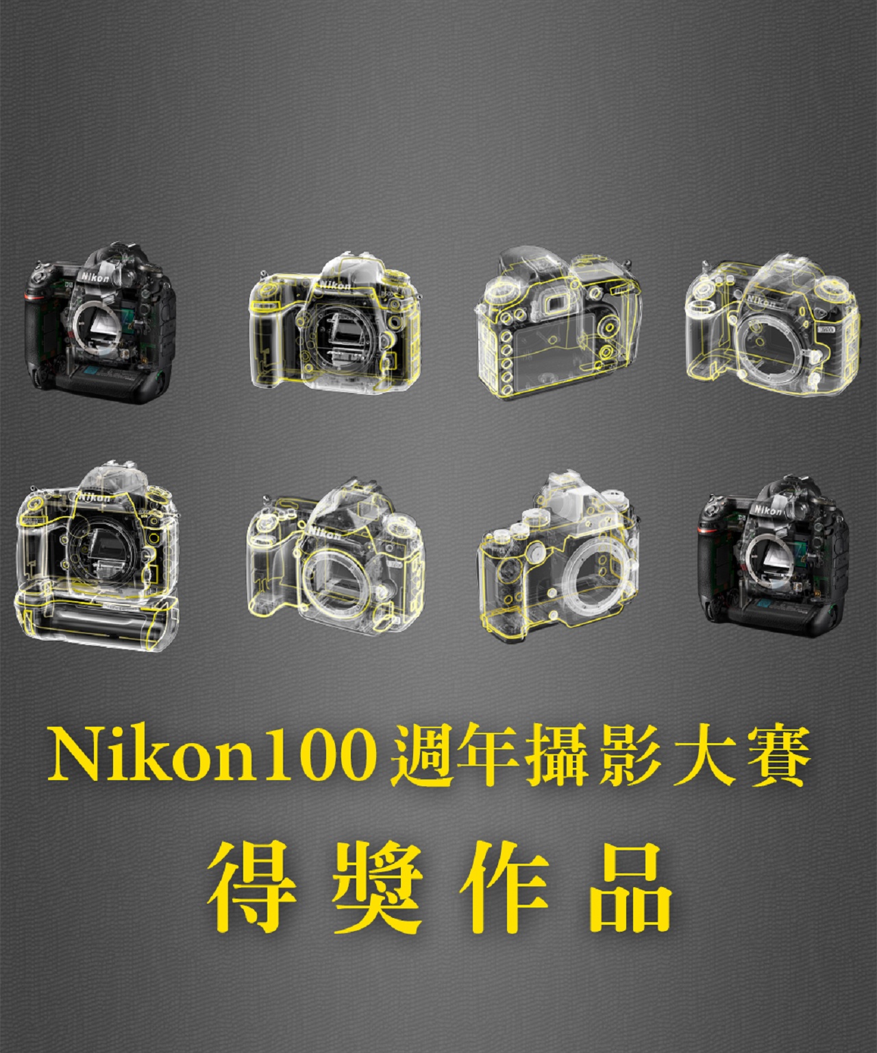 Nikon 100週年攝影大賽 得獎作品